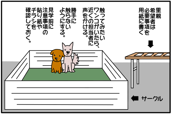 [日々、きのタロ]沖縄で保護犬の里親になった話(3)保護犬譲渡会に参加してきのえに出会う